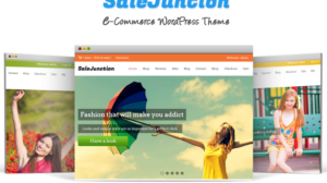 Salejuction Ecommerce Wordpress Theme