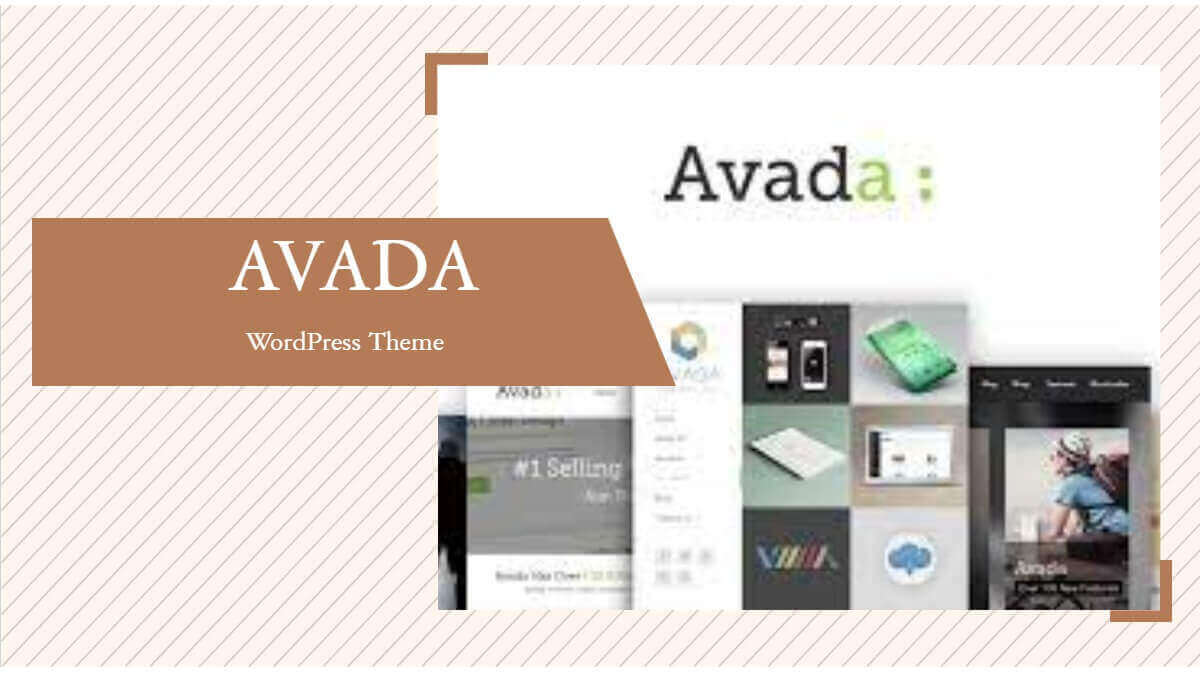 Avada Theme WordPress