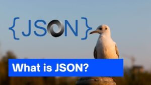 What is JSON?